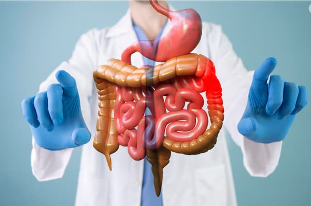 Gastroenterology Gastroenterology