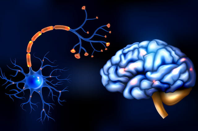 Neurology-Neurosurgery Neurology Neurosurgery
